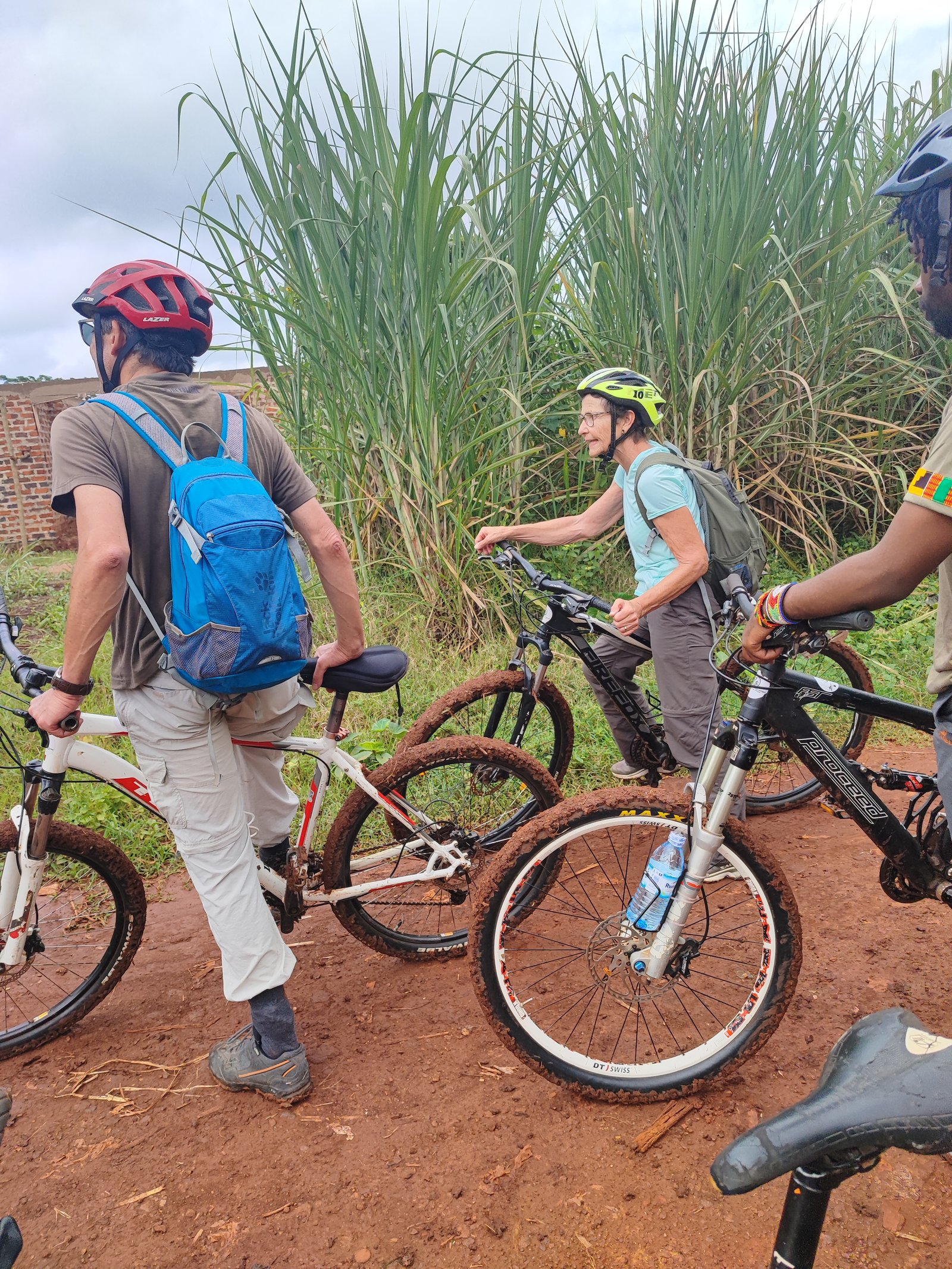 Tea Estate & Sugarcane Plantation Tour